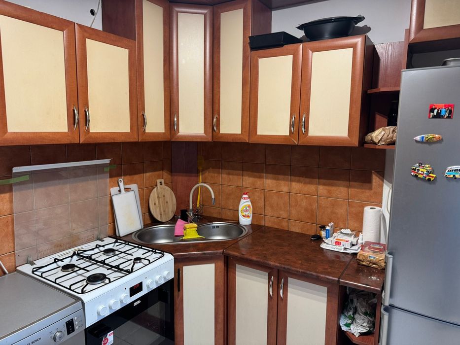 wynajmę duże mieszkanie z klimatyzacją, Pszczelnik, tereny zielone,