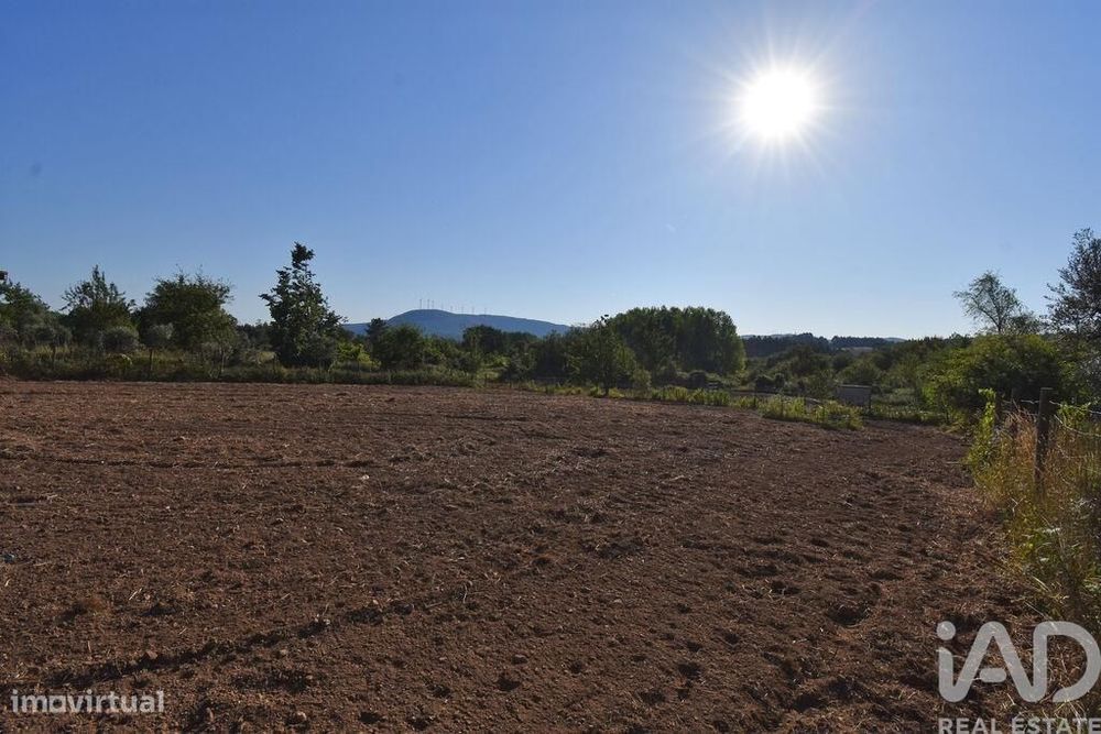 Terreno em Espinhal