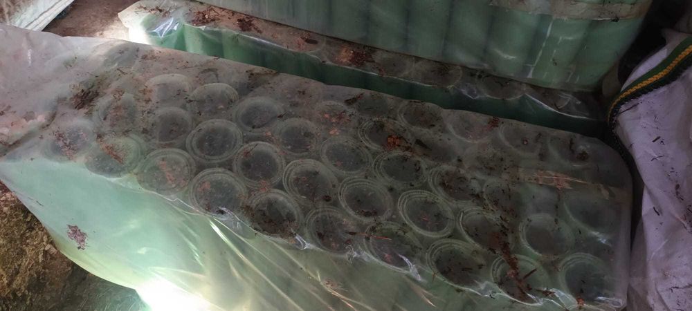 Tubos Protetores de árvores