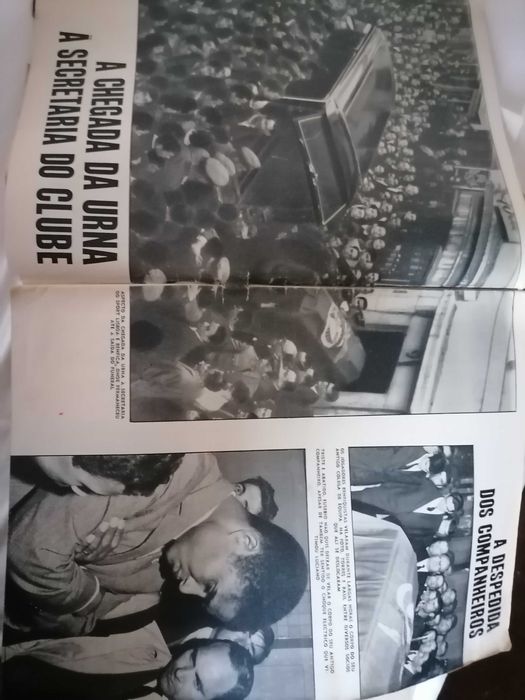 BENFICA / Tragédia no Estádio da Luz e o Adeus a Luciano 1966