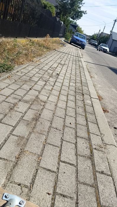 Sprzątanie działek i podwórek