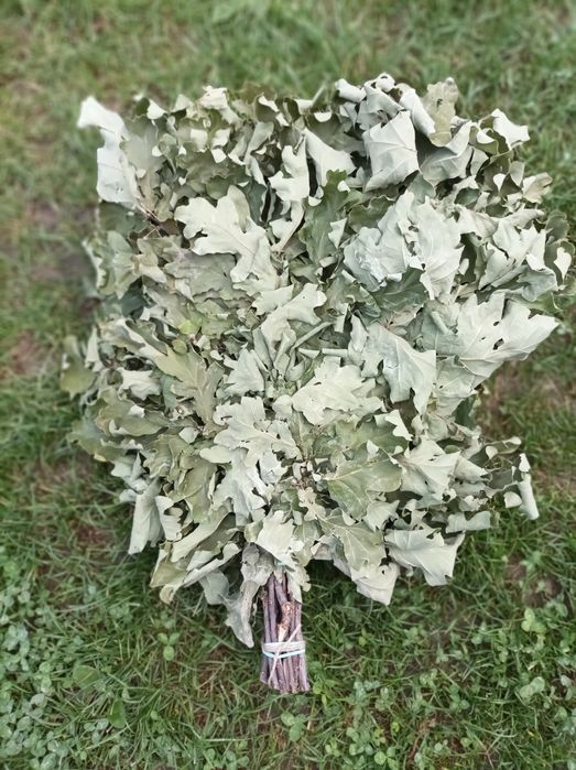 Віники для бані березові і дубові