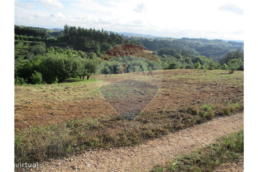 Terreno  para venda — Évora de Alcobaça, Leiria