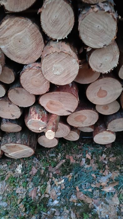 Drewno  opałowe/ kominkowe
