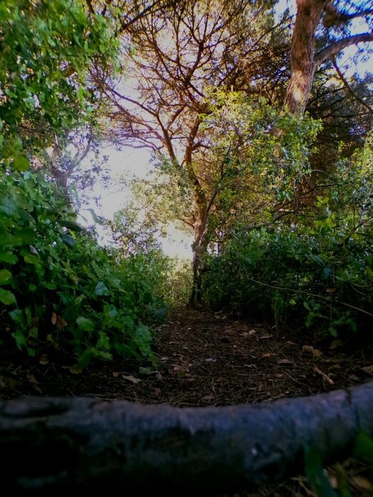 Fotos profissionais de produtos – preços acessíveis