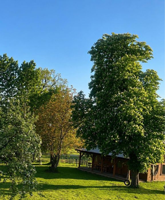 Gorąca balia, sauna i klimatyczny domek na Polesiu. Odetchnij naturą nad Jeziorami. Poleski Park Narodowy - Domek BOCIAN