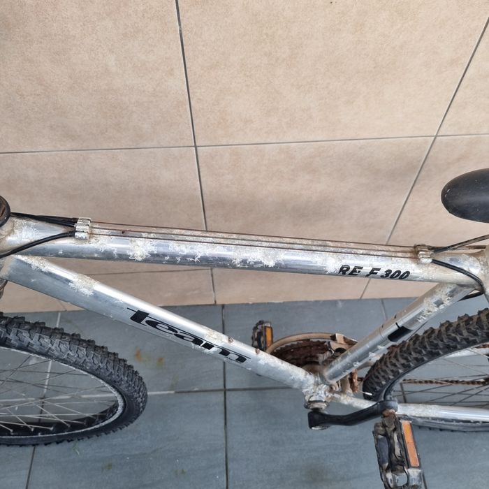 Bicicleta adulto