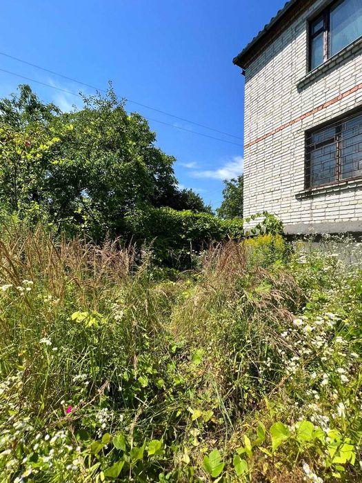 Продаж будинку (дачі) в Старе Село