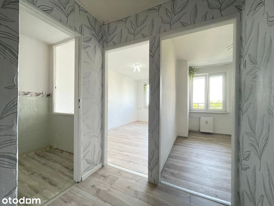 Dwa pokoje│mieszkanie do aranżacji│piękny widok na las│37m² - Widok 4