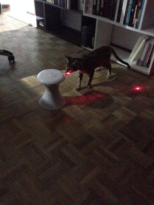 Laser rotativo automático - FroliCat DART