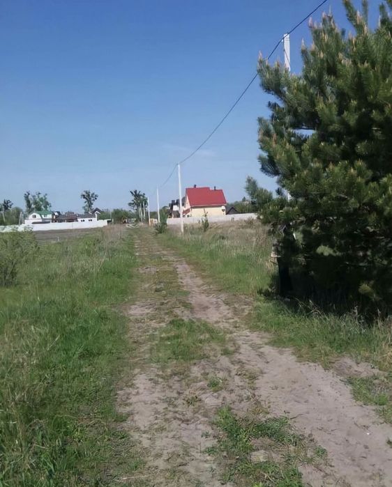 Продам земельну ділянку в с.Личанка Бучанського району 0,25 на вулиці Прорізна