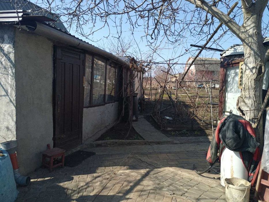 Дача возле леса Алтестово