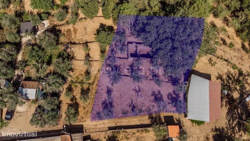 Lote / Covilhã, Dominguiso