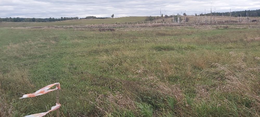 Działki na Mazurach Kuty - View 4