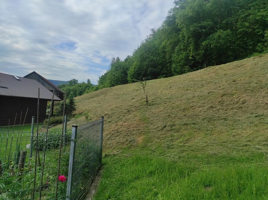 Koszenie trawy ,wykaszanie ,wertykulacja,utrzymanie posesji.