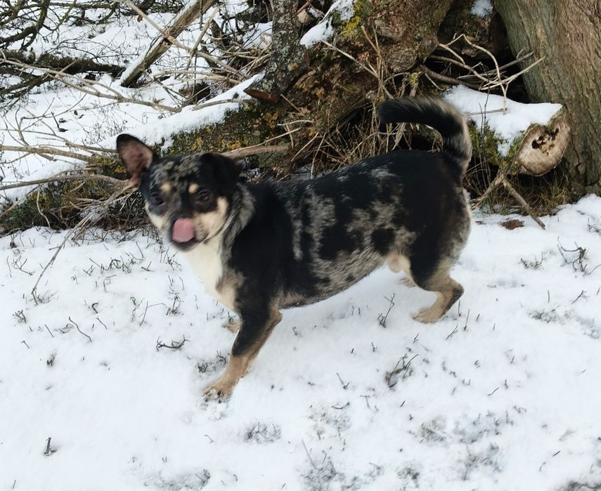Мальчик метис подросток