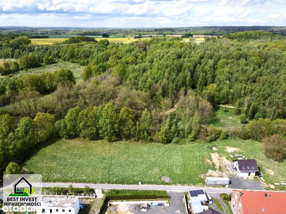 Działka z widokiem na góry otoczona lasem - More