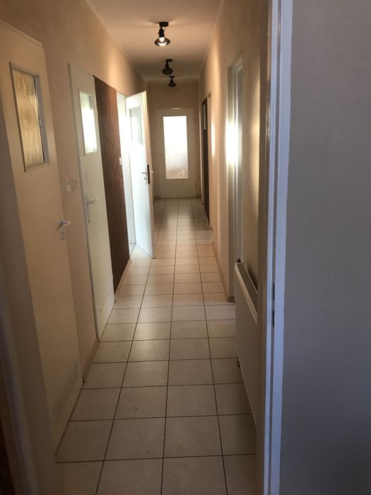 Dom, stajnia i duża działka 1,4 h. Blisko Poznania