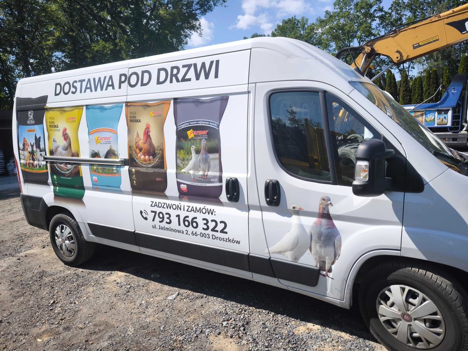 Karma gołąb bez kukurydzy i pszenicy