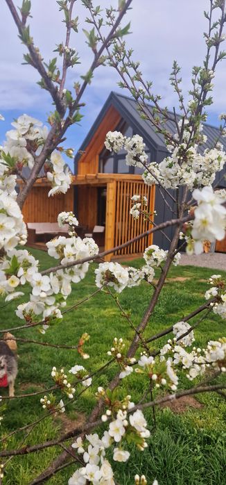 Domek z jacuzzi , agroturystyka, ferie, domek na wyłaczność,