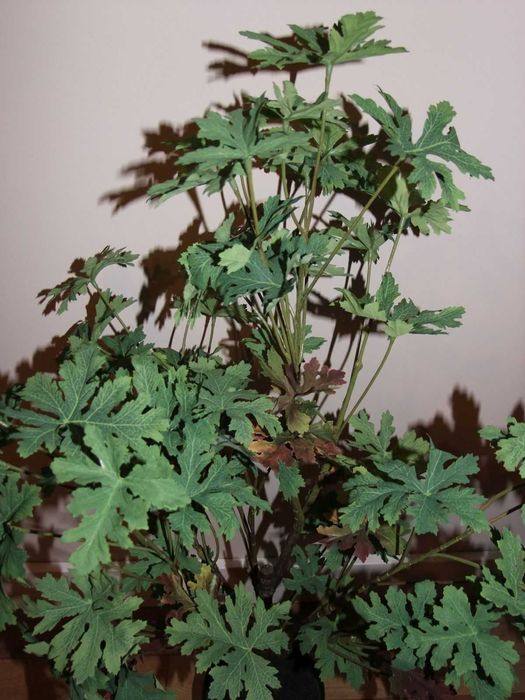 Sztuczna roślinka-cytrynka w doniczce wysokość 87 cm