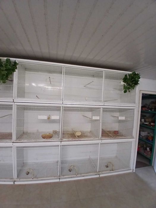 Gaiolas de criação