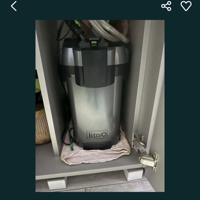 Akwarium 200 l z rybkami