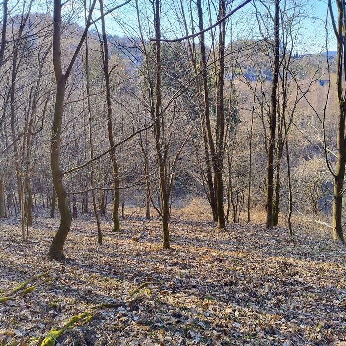 Działka na sprzedaż  Jezioro Mucharskie 30,5 ara