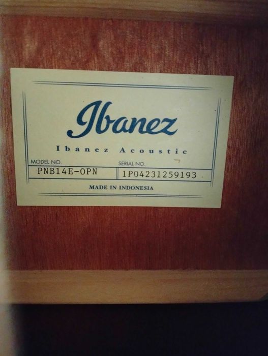 Ibanez PNB14E Electro Acoustic Bass, Open Pore Natural