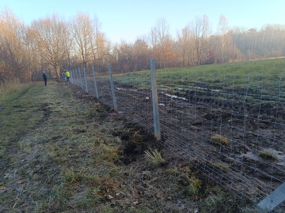 Ogrodzenia tymczasowe siatka leśna słupek betonowy drewniany