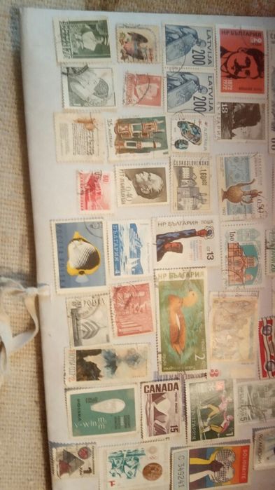 Маркидоговорная.