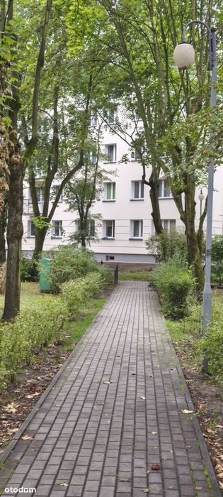 Zdjęcie 8