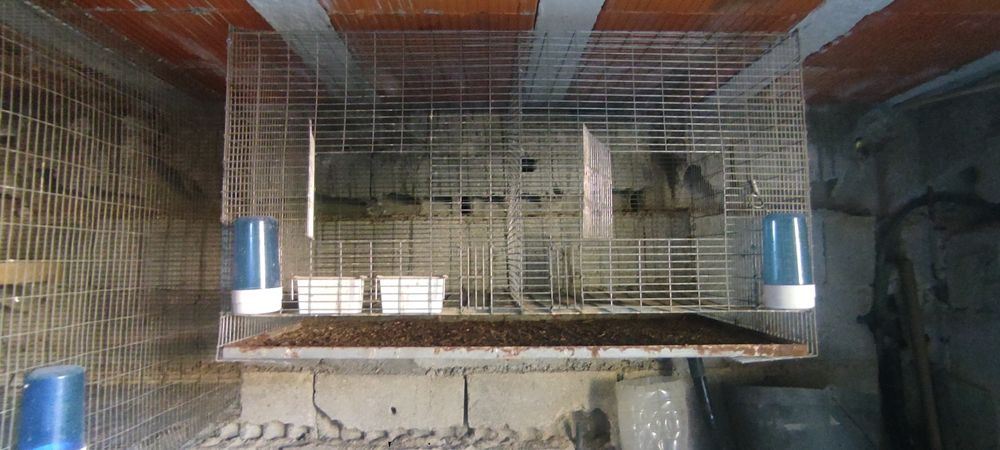 Gaiolas para pássaros