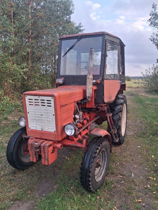 Władimirec t25 Zarejestrowany