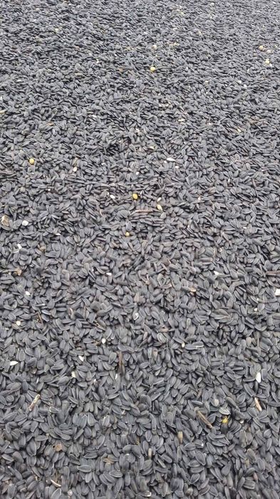 Продам комбайн Лаверда 3900