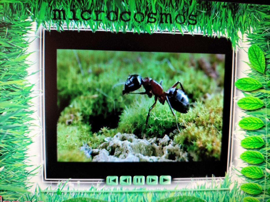Film Micro-cosmos