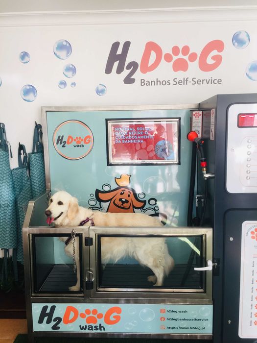 Dog Walking | Pet Sitting | Passear cães | Dogwalker | Almada