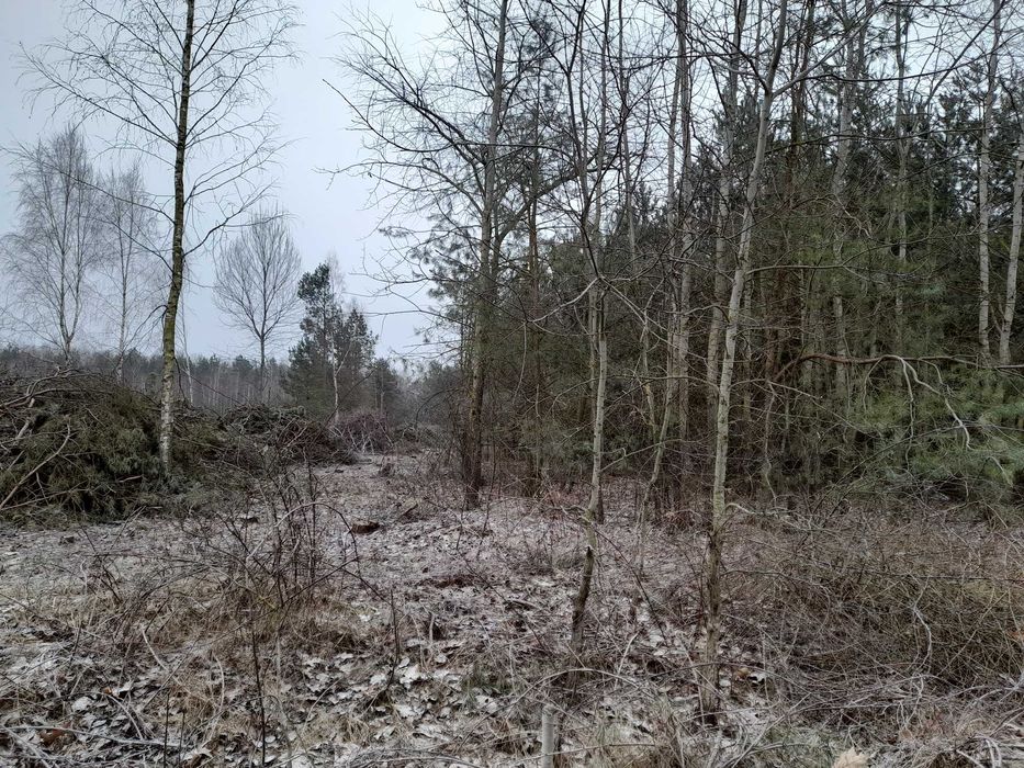 Działka budowlana w Krynce 0,2035 ha