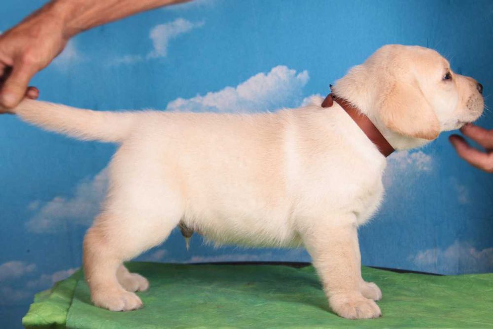Няшний хлопчик.  Питомник. Фото від 03.08.