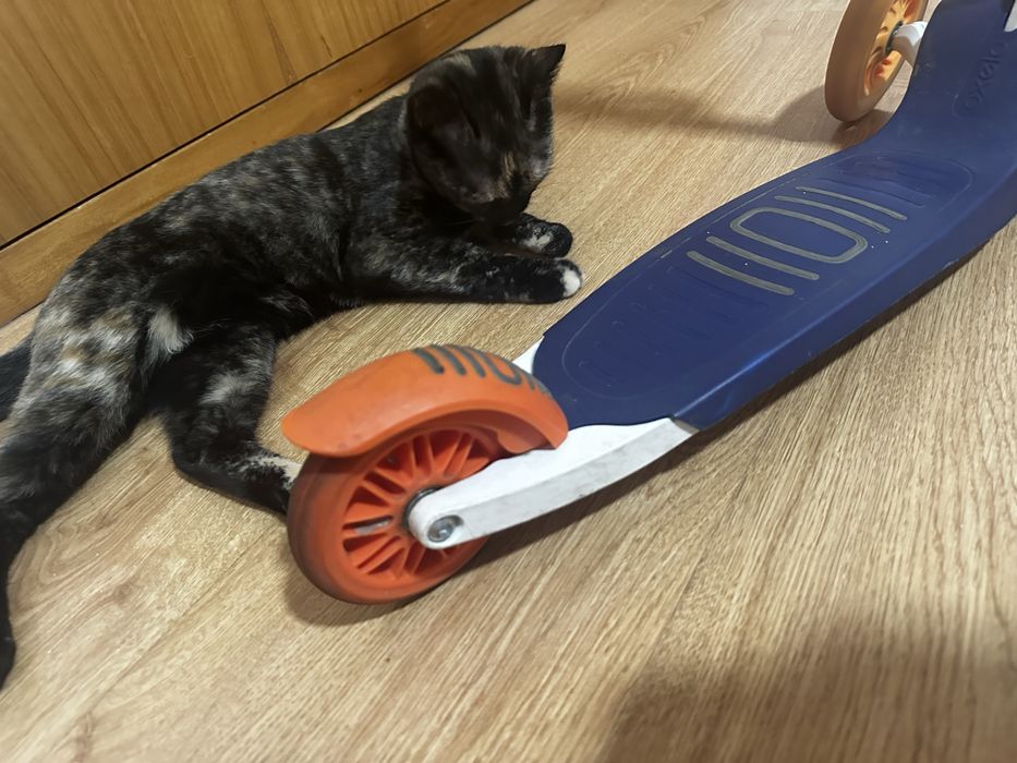 Trotinette criança 3 rodas