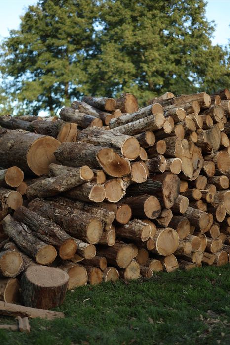 SUCHE drewno kominkowe łupane DĄB