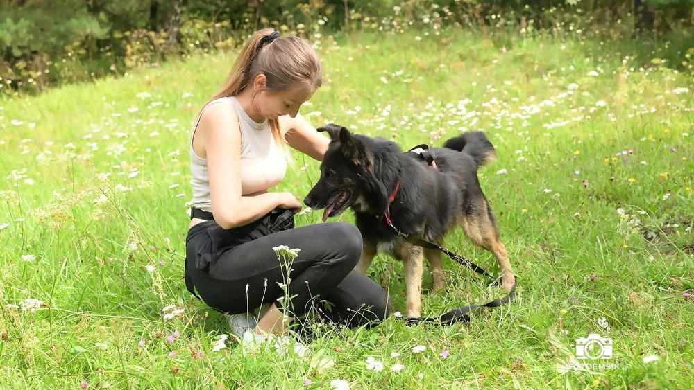 Mądry i uroczy Zandi- adoptuj niechcianego psa