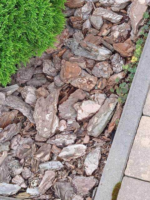 Kora sosnowa sortowana gruba ozdobna (od 5 do 10cm ) 80l.