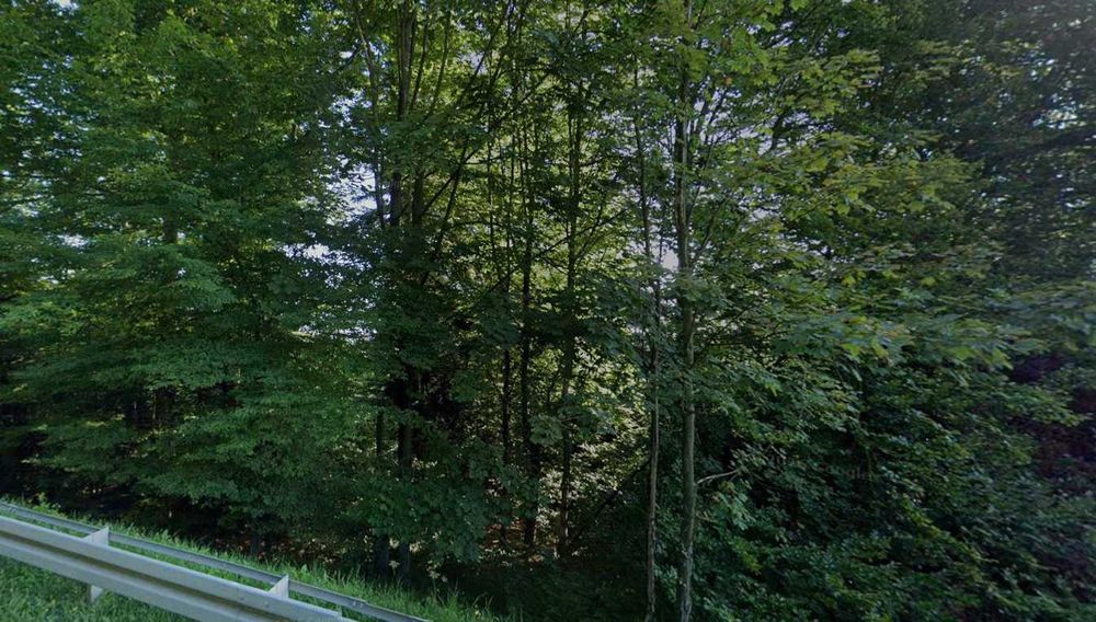 Sprzedam las - 1,08 ha – Kombornia