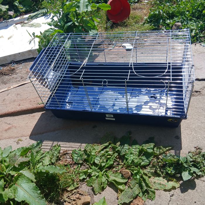Vendo gaiola de coelhos