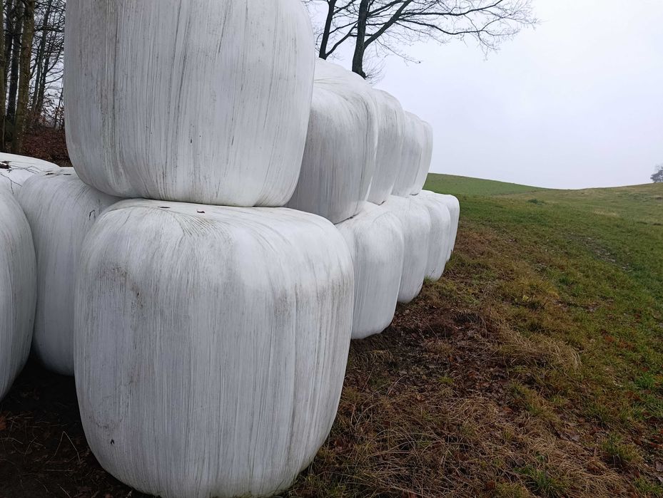 Kiszonka, sianokiszonka baloty