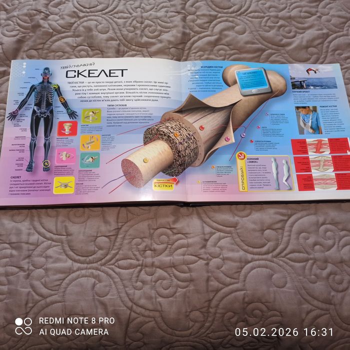 Дитяча пізнавальна література  для дітей молодшого шкільного віку.