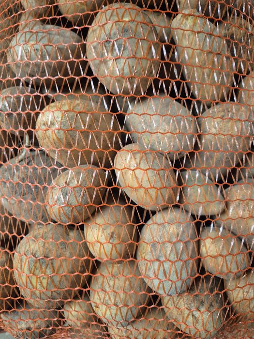 Ziemniaki Vineta i Soraya