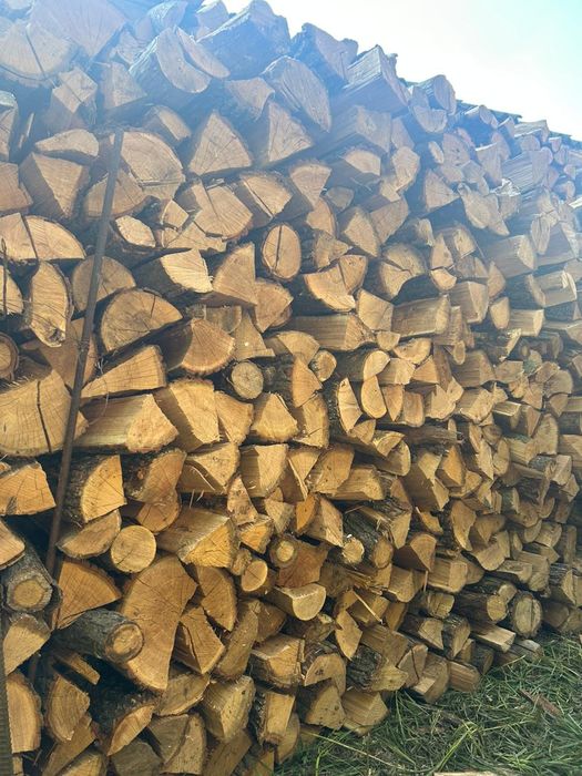 Продам дрова дубовые