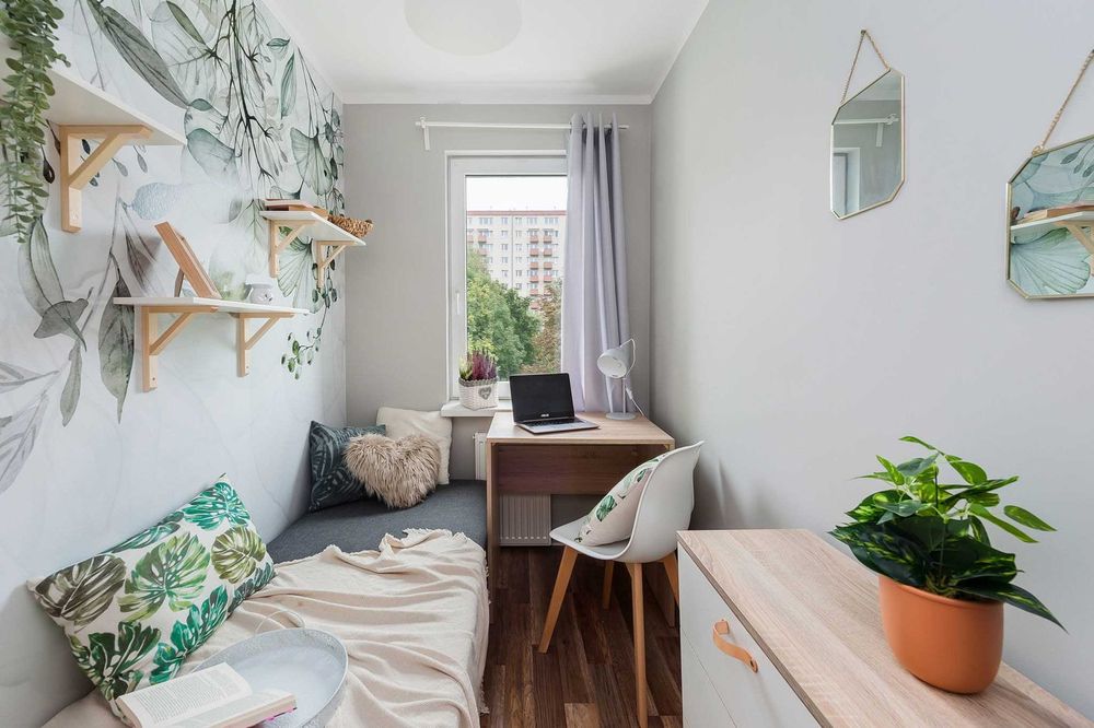 Przytulna jedynka od ZARAZ || Zielińska 20